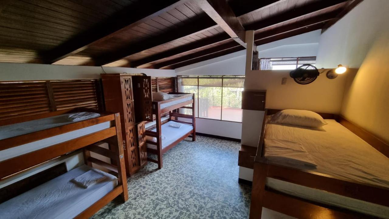 Paradiso Hostel La Laguna エクステリア 写真