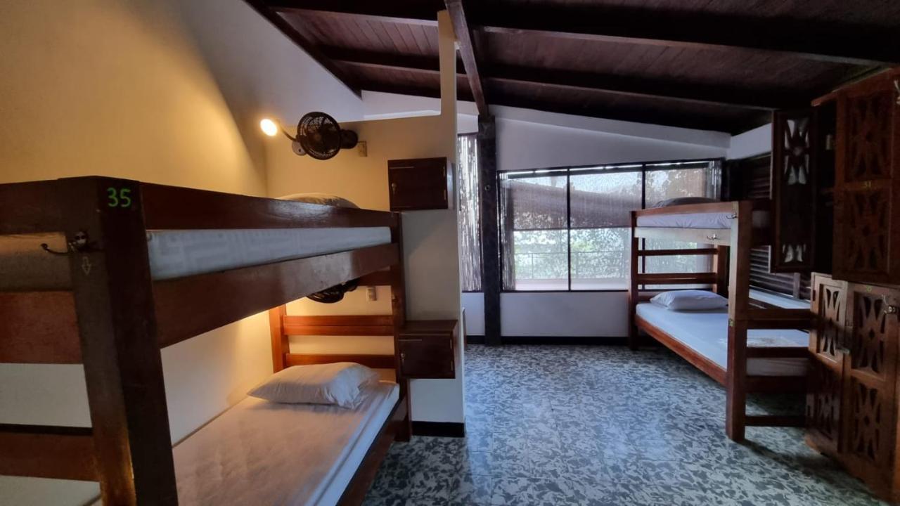Paradiso Hostel La Laguna エクステリア 写真