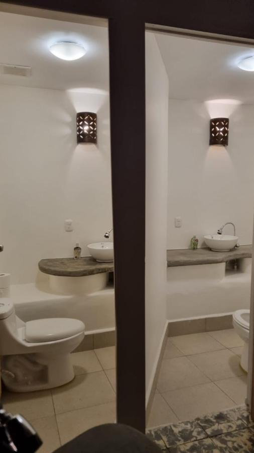 Paradiso Hostel La Laguna エクステリア 写真