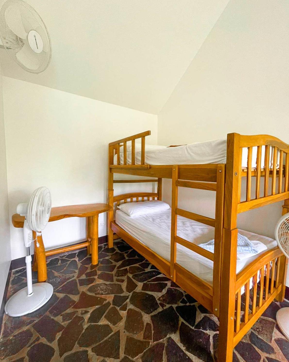 Paradiso Hostel La Laguna エクステリア 写真