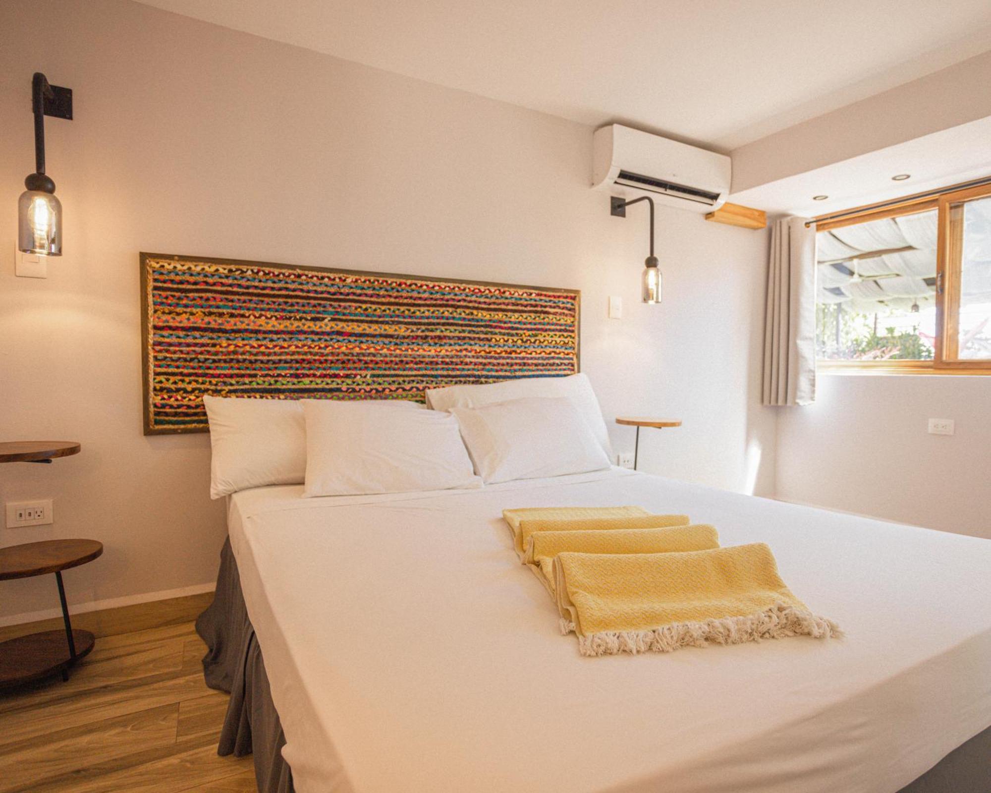 Paradiso Hostel La Laguna エクステリア 写真