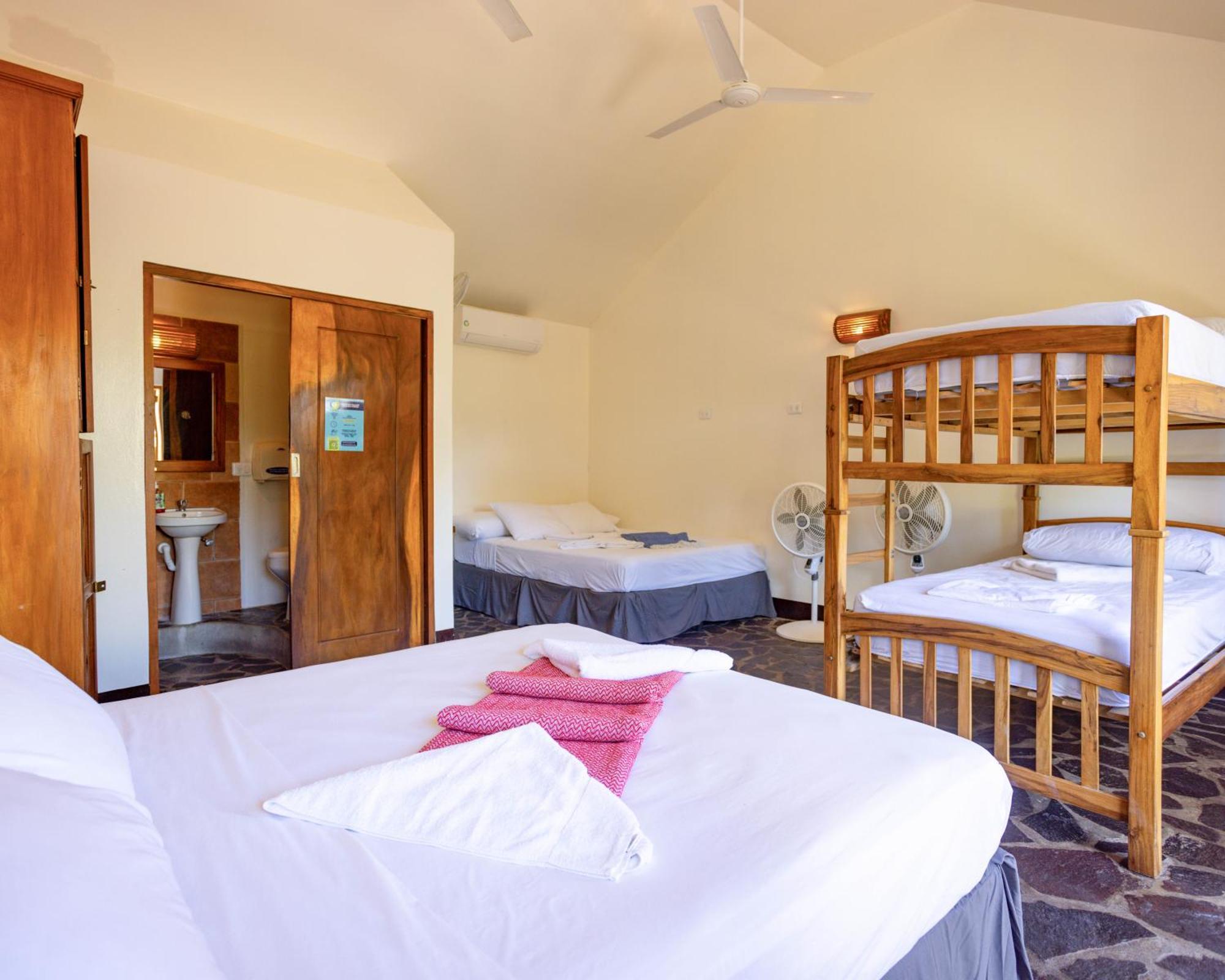 Paradiso Hostel La Laguna エクステリア 写真